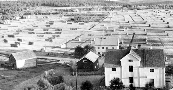 Vy över byn Latikberg på 1950-talet. Foto Sven. Hansson.